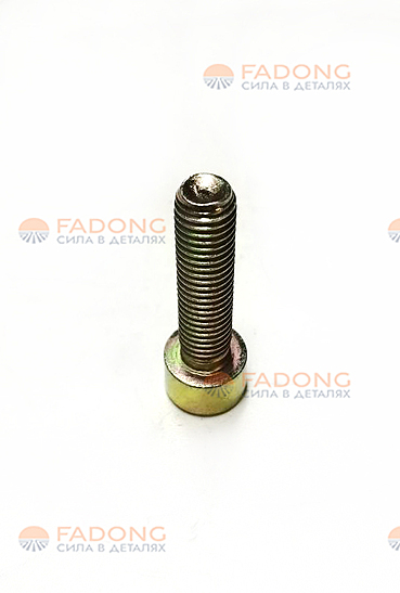 Болт крепления зубчатого колеса 900135050004