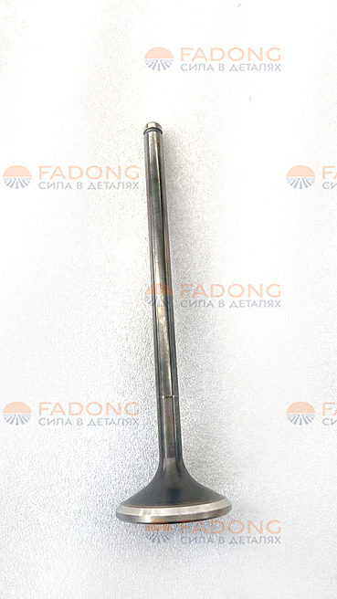 Клапан выпускной 6170003000001