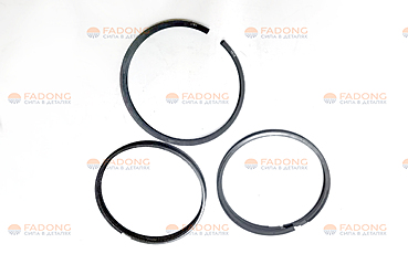 Кольца поршневые (комп. на ДВС) 1000726572 (ОРИГИНАЛ)