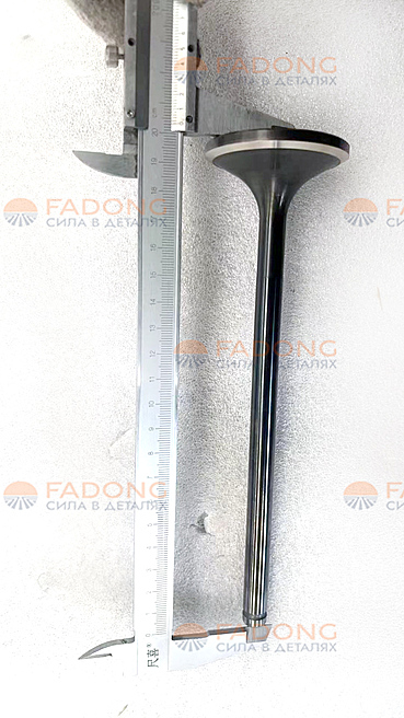 Клапан впускной 170Z.03.05A